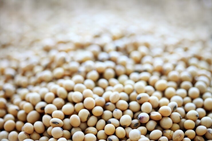 ANAPO: Abastecimiento de soya para el mercado interno está garantizado